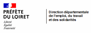 logo ddets