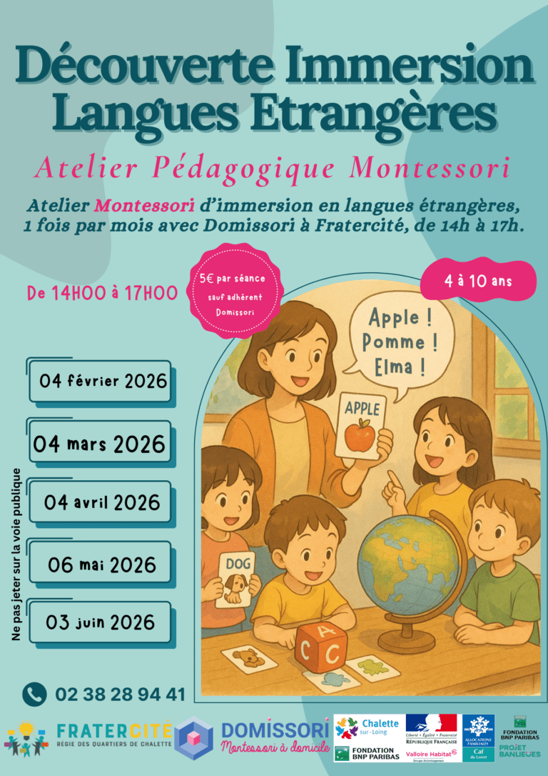 Affiche Domissori (2)